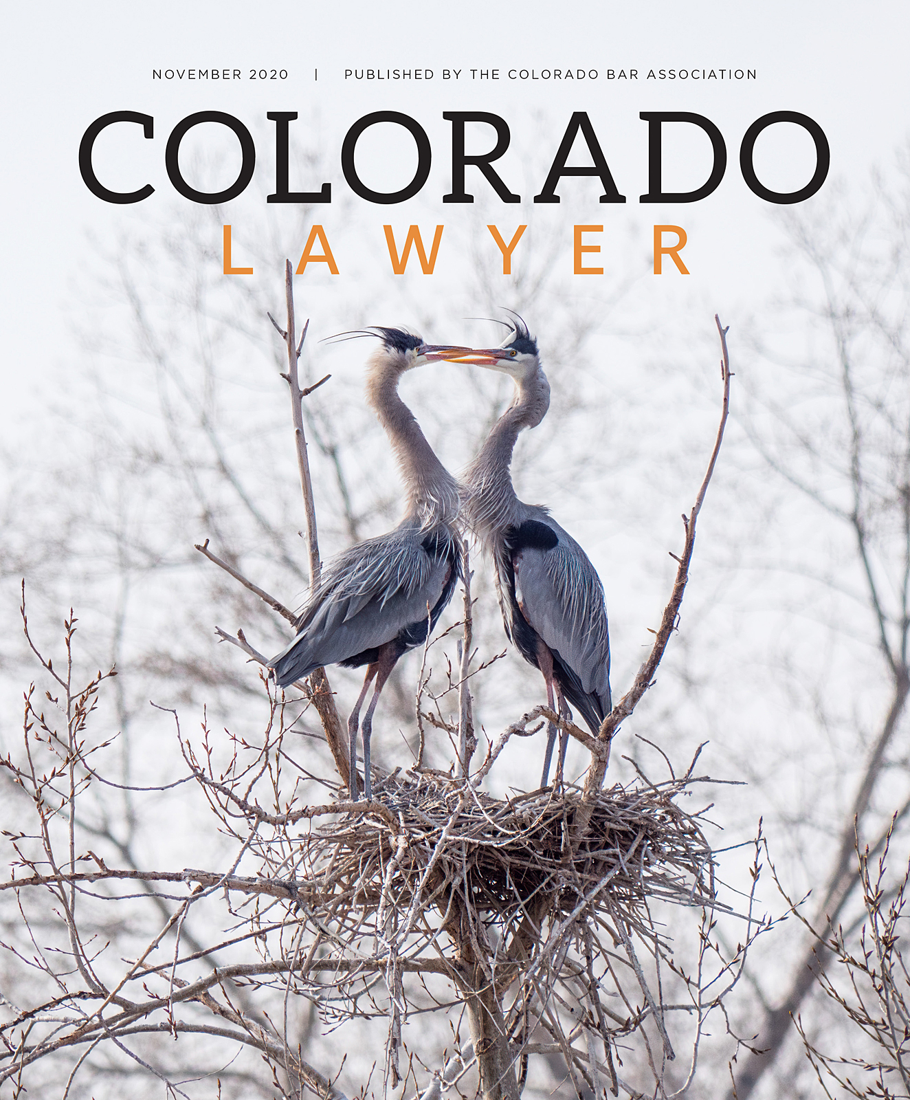 Colorado-Lawyer-Cover-sm